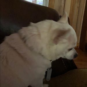 Meet your Posher, Marilyn